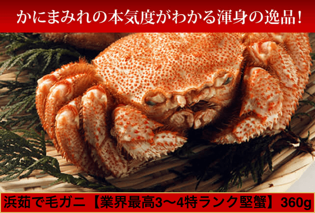 【北海道雄武・稚内産】毛ガニ(3～4特ランク堅蟹)360g