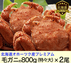 北海道オホーツク堅毛がに(特大)800g×2