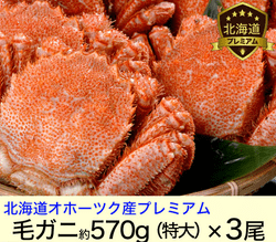 北海道オホーツク堅毛がに(超特大)570g×3