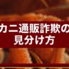 カニ通販詐欺の見分け方