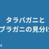 タラバガニとアブラガニの見分け方