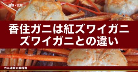 香住ガニは紅ズワイガニ｜ズワイガニとの違い